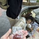 이천 아이와 실내 체험｜이천시 환경학습관 후기