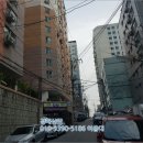 다우림 2차 이미지