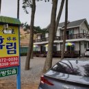 몽산포휴림