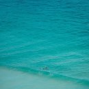 파라다이스 이미지