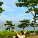 하단동1211 이미지