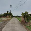 표선리-10 이미지