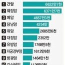 해피루트