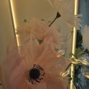 포시즌 | 천안 아산 자이언트플라워 자격증 포시즌스튜디오 후기