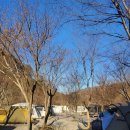 캠핑소리251 이미지