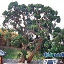 동산자연어린이집 이미지