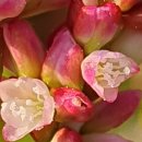 쪽빛하늘로 이미지