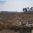 봉생리경로당 네이버블로그