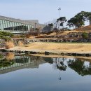 도군로-3 Daum카페