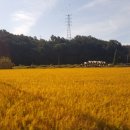 은행노모당 네이버블로그