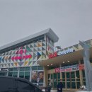 엘오엘테마파크