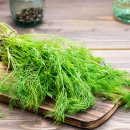 울트라짐 이미지