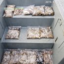 오션스케치 이미지