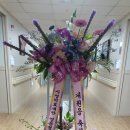 시영의료재단 영동병원 이미지