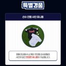 KBO 빼빼로 후기 내돈내산 솔직후기 종류 구성 이벤트 총정리