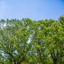 돌리네습지주차장 이미지