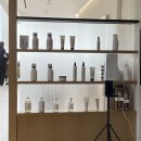 살롱드앙주 | 가을엔 탠저린 브라운하세요~ 강남역 미용실 차홍룸 강남대로점에서 머리하고 왔어요! (feat. 이보미쌤)