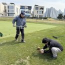 서구-4