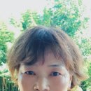 곤집