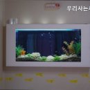 우리요양원 네이버블로그
