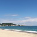 관성솔밭해변 네이버블로그
