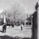 서울대학교 이미지