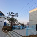 코아스 | 공장안에 있는 나무가지치기작업