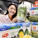 홈 플러스, 10일부터 절임 배추 사전 예약 접수 이미지