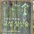 즐겁고 상쾌하였던 고성장산숲-옥천사일원-대가연꽃테마공원(19-07-04- 30) 이미지