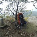 엄사초등학교 이미지