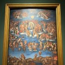 비둘기모사 이미지