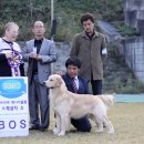 매니아클럽 Daum카페