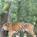 포레스트벨리캠프 이미지