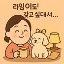 [내돈내산] 마이플러피 이지폴딩 강아지 유모차 ( 애견 개모차 캄포 샌디타프)