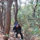 꾀꼬리봉 화장실 | 밀양 ‘꾀꼬리봉’