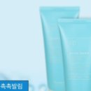 피누스스토어다온