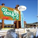천인목장 Daum카페