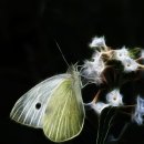 중앙보훈병원역 이미지