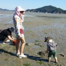 신진도민박 이미지