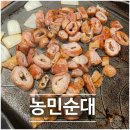 농민족발 | [한화생명볼파크] 대전 가성비 맛집 농민순대, 문현빈 선수 추천 국밥·막창구이 후기