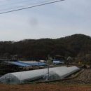 이포약국 이미지