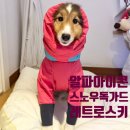 거양길1L-1 | 알파아이콘 스노우독가드 사이즈 1L 레트로스키 피치앤크림 구매처