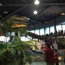 자연아놀자박물관 이미지