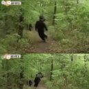 불구이돈식당 이미지