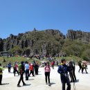 당산봄약국 이미지