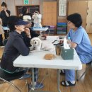 낙성대동-17 이미지