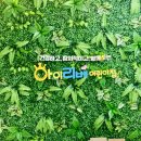 아이리베어린이집 이미지