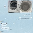 미스터라멘 고온시청점 | 어라 어항에 살고 있나