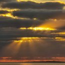 중문대포주상절리대 이미지