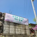 우리 꽃 세밀화 | 제21회 광주시 우리꽃 전시회 후기